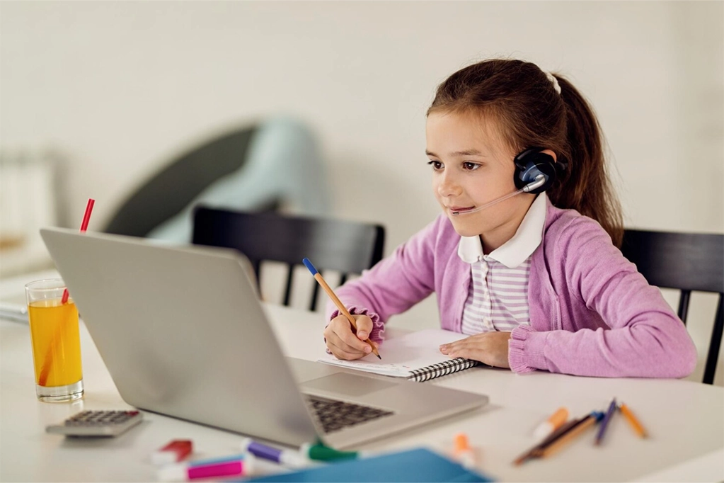 Online Eğitim Platformları